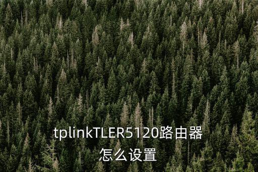 tplinkTLER5120路由器怎么設(shè)置