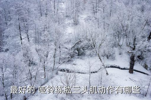 啞鈴臂屈伸,啞鈴arm屈伸用于鍛煉肱三頭肌