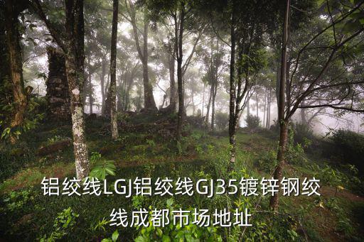 鋁絞線LGJ鋁絞線GJ35鍍鋅鋼絞線成都市場地址