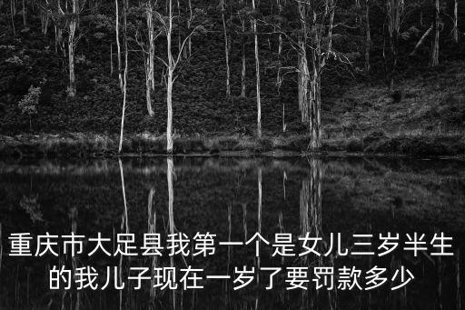 重慶市大足縣我第一個(gè)是女兒三歲半生的我兒子現(xiàn)在一歲了要罰款多少