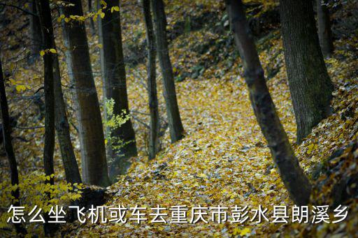 怎么坐飛機(jī)或車去重慶市彭水縣朗溪鄉(xiāng)