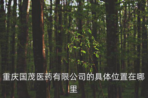 重慶國茂醫藥有限公司的具體位置在哪里