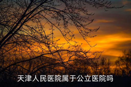 天津市是公辦，什么是市公辦