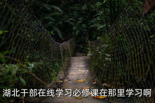 湖北干部在線學習必修課在那里學習啊