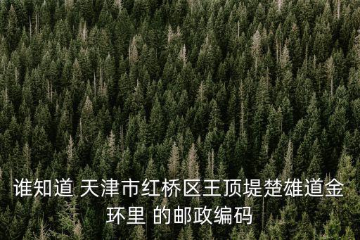 誰(shuí)知道 天津市紅橋區(qū)王頂?shù)坛鄣澜瓠h(huán)里 的郵政編碼