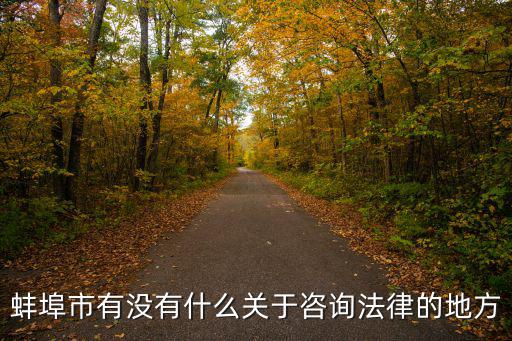 蚌埠市有沒有什么關(guān)于咨詢法律的地方