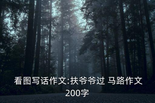  看圖寫話作文:扶爺爺過 馬路作文200字
