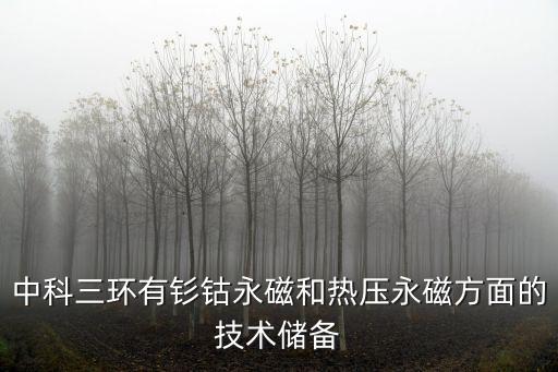 天津市中科三環機電技術有限公司，中科三環有釤鈷永磁和熱壓永磁方面的技術儲備