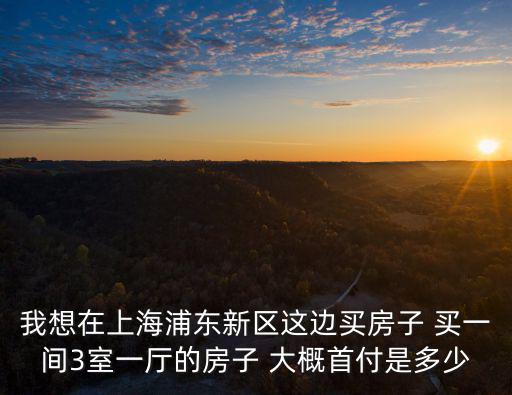 我想在上海浦東新區(qū)這邊買房子 買一間3室一廳的房子 大概首付是多少