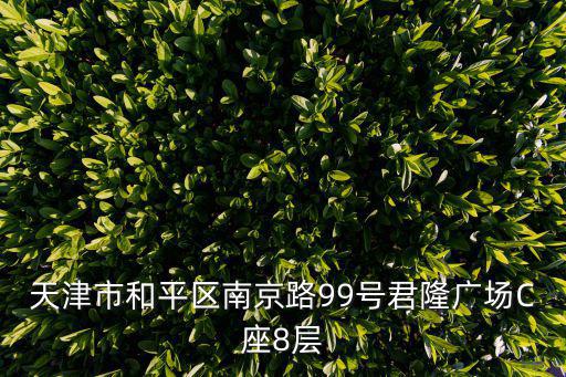 天津市和平區南京路99號君隆廣場C座8層