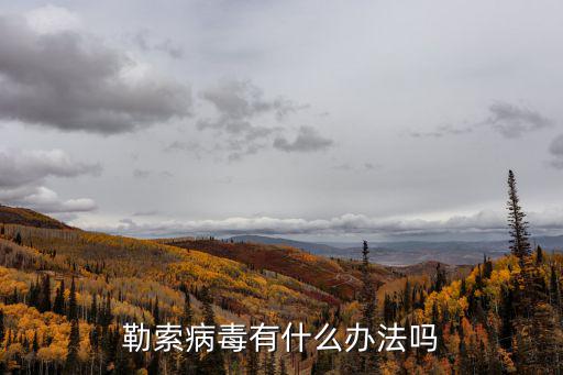 勒索病毒有什么辦法嗎
