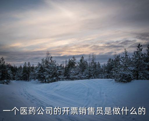 一個醫藥公司的開票銷售員是做什么的