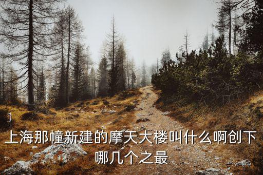上海那幢新建的摩天大樓叫什么啊創(chuàng)下哪幾個之最
