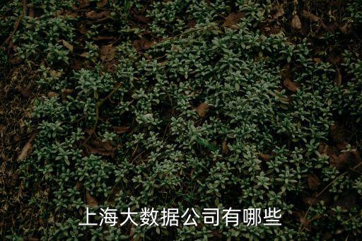 上海大數據集團 證券，上證是哪家股子