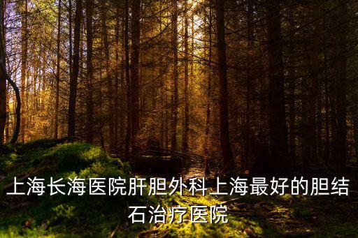 上海長海醫(yī)院肝膽外科上海最好的膽結(jié)石治療醫(yī)院