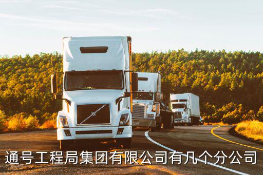 通號工程局集團有限公司有幾個分公司