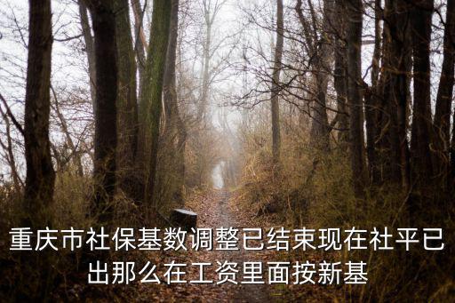 重慶市社保基數調整已結束現在社平已出那么在工資里面按新基
