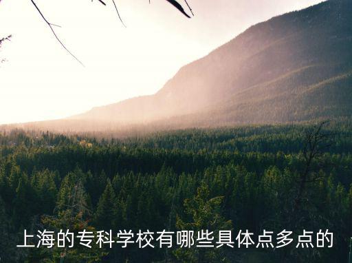 上海的專科學校有哪些具體點多點的