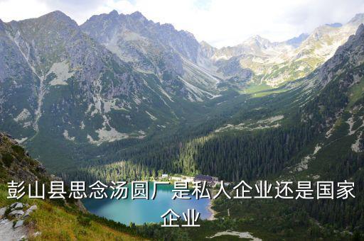 彭山縣思念湯圓廠是私人企業(yè)還是國(guó)家企業(yè)