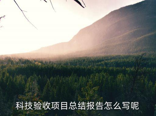 科技驗收項目總結(jié)報告怎么寫呢