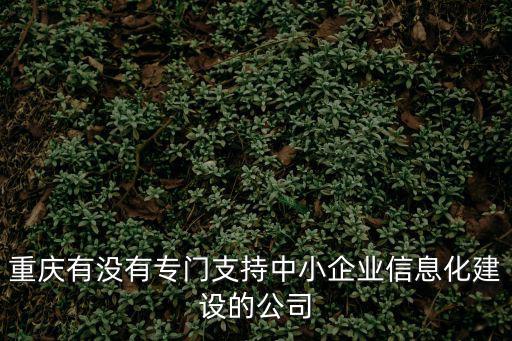 重慶有沒有專門支持中小企業信息化建設的公司