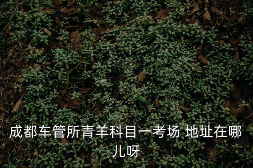 成都車管所青羊科目一考場(chǎng) 地址在哪兒呀