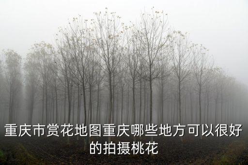 重慶市賞花地圖重慶哪些地方可以很好的拍攝桃花