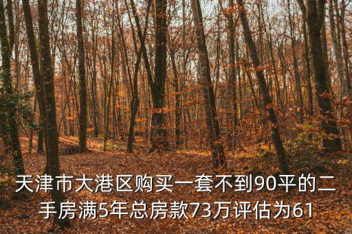 天津市大港區(qū)購買一套不到90平的二手房滿5年總房款73萬評估為61