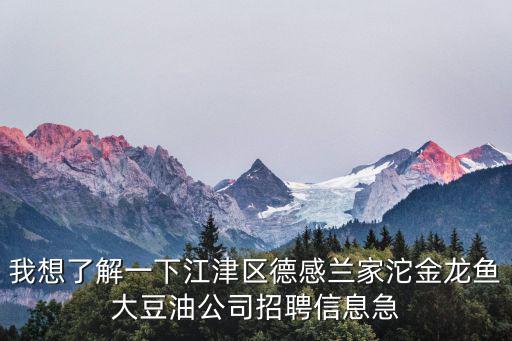 重慶市江津區(qū)李遠(yuǎn)志，1999年重慶江津區(qū)白沙工商學(xué)校的校長的姓名