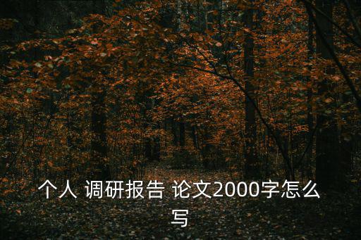 個人 調研報告 論文2000字怎么寫