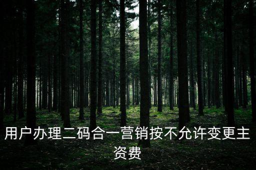 用戶辦理二碼合一營銷按不允許變更主資費(fèi)