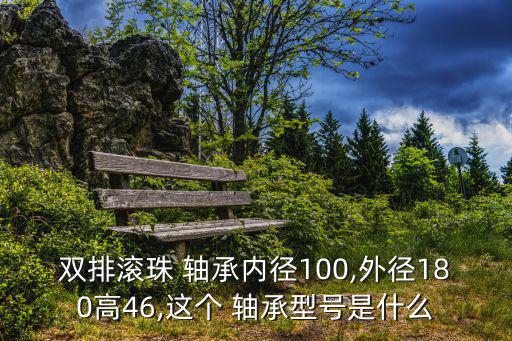 雙排滾珠 軸承內徑100,外徑180高46,這個 軸承型號是什么