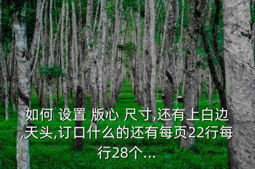 如何 設(shè)置 版心 尺寸,還有上白邊,天頭,訂口什么的還有每頁22行每行28個...