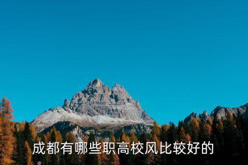 成都有哪些職高校風(fēng)比較好的