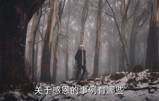 關于感恩的事例有哪些