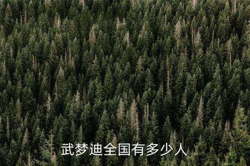 武夢迪全國有多少人