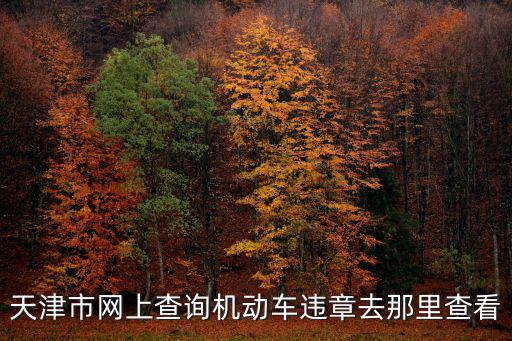 天津市網(wǎng)上查詢機(jī)動(dòng)車違章去那里查看