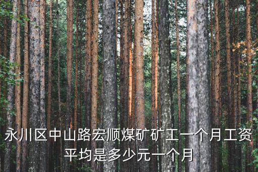 重慶市煤礦工人待遇，永川區中山路宏順煤礦礦工一個月工資平均是多少元一個月