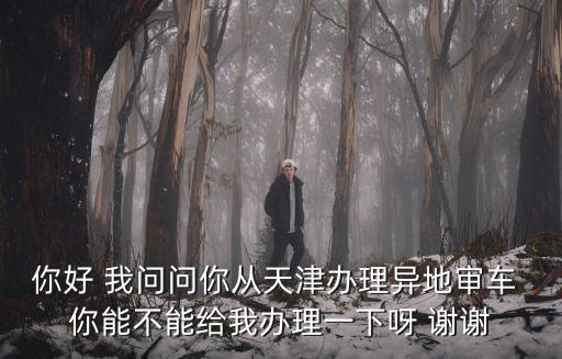 你好 我問問你從天津辦理異地審車 你能不能給我辦理一下呀 謝謝