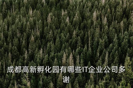 成都高新孵化園有哪些IT企業(yè)公司多謝