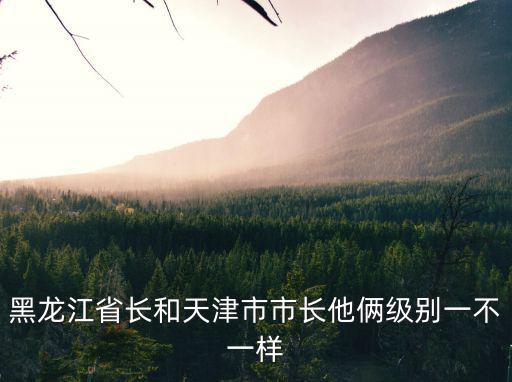 黑龍江省長和天津市市長他倆級別一不一樣