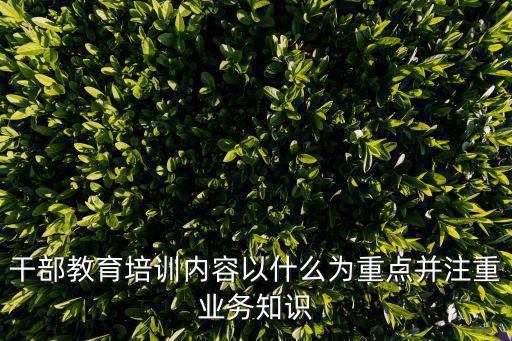 干部教育培訓內容以什么為重點并注重業務知識