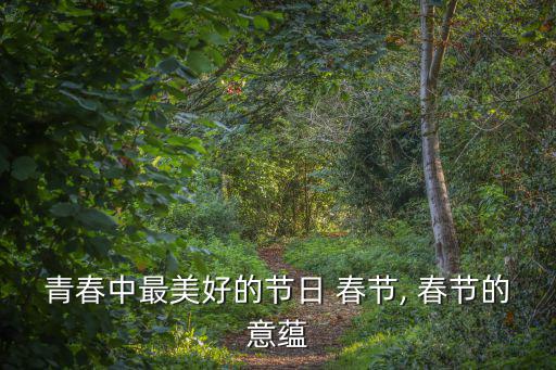 青春中最美好的節(jié)日 春節(jié), 春節(jié)的意蘊(yùn)