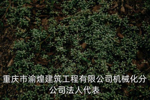重慶市渝煌建筑工程有限公司機(jī)械化分公司法人代表