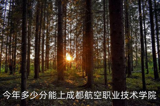 今年多少分能上成都航空職業技術學院