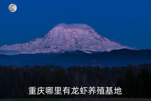重慶哪里有龍蝦養殖基地