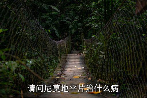 請(qǐng)問(wèn)尼莫地平片治什么病