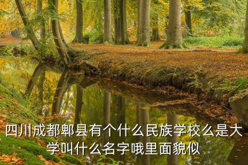 成都市都煤子子弟校，你是成都內燃機總廠子弟校初中部哪一屆的學生