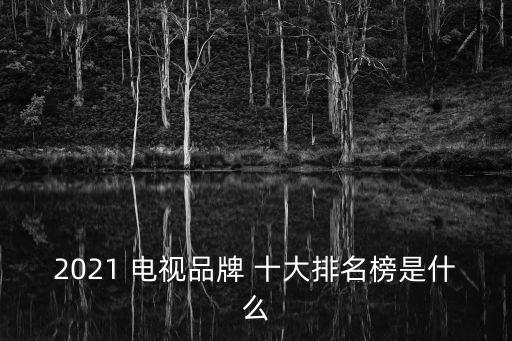 2021 電視品牌 十大排名榜是什么