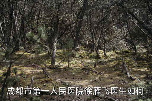 成都市第一人民醫院徐雁飛醫生如何